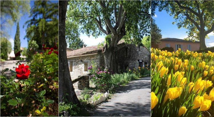 Le Hameau De L'Etoile Saint-Martin-de-Londres Ngoại thất bức ảnh